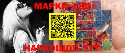 гашик Будённовск