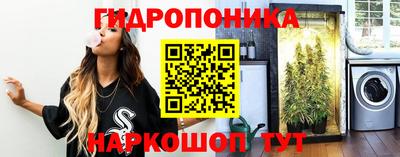 гашик Будённовск