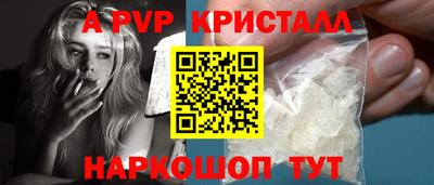 гашик Будённовск