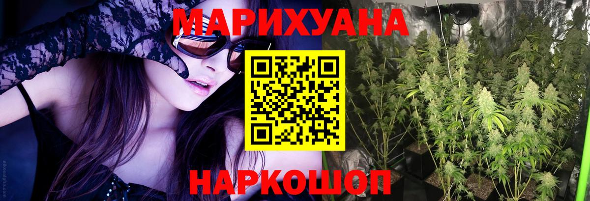 Канабис OG Kush Чехов